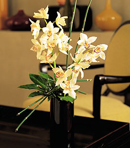  ankr iek gnderme sitemiz gvenlidir  cam yada mika vazo ierisinde dal orkide