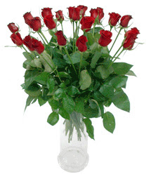  Çankırı çiçek servisi , çiçekçi adresleri  11 adet kimizi gülün ihtisami cam yada mika vazo modeli
