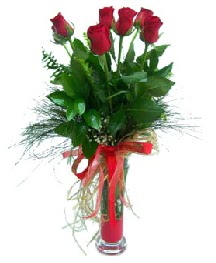vazo içerisinde 5 kırmızı gül  Çankırı online çiçek gönderme sipariş 