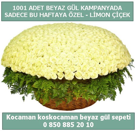 1001 adet beyaz gül sepeti özel kampanyada  Çankırı anneler günü çiçek yolla 
