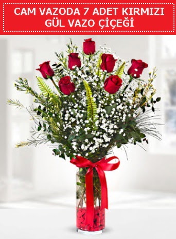 Cam vazoda 7 adet kırmızı gül çiçeği  Çankırı anneler günü çiçek yolla 