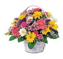  Çankırı kaliteli taze ve ucuz çiçekler  mevsim çiçekleri sepeti özel