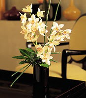 Çankırı çiçek gönderme sitemiz güvenlidir  cam yada mika vazo içerisinde dal orkide