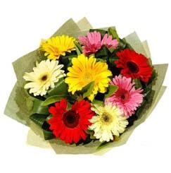 9 adet karisik gerbera demeti  Çankırı internetten çiçek siparişi 
