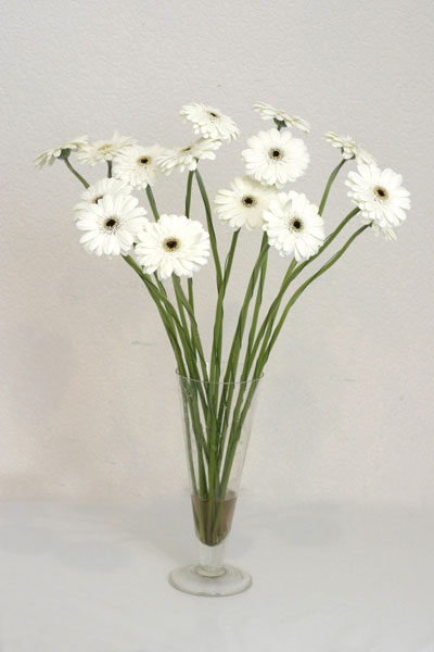  Çankırı internetten çiçek siparişi  cam vazo içerisinde 17 adet sade gerbera