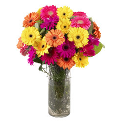 KARISIK GERBERALARDAN CAM VAZO TANZIMI  Çankırı online çiçek gönderme sipariş 