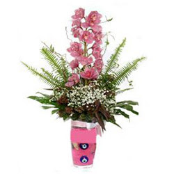  Çankırı yurtiçi ve yurtdışı çiçek siparişi  cam yada mika vazo içerisinde tek dal orkide çiçegi