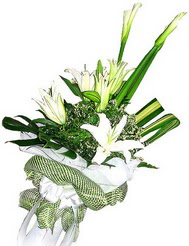  Çankırı online çiçek gönderme sipariş  3 dal kazablanka çiçegi ve yesillikler