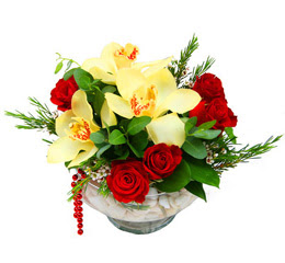  Çankırı çiçek online çiçek siparişi  1 kandil kazablanka ve 5 adet kirmizi gül