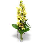  Çankırı 14 şubat sevgililer günü çiçek  cam vazo içerisinde tek dal canli orkide