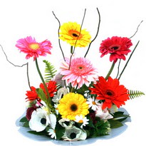  Çankırı yurtiçi ve yurtdışı çiçek siparişi  camda gerbera ve mis kokulu kir çiçekleri 