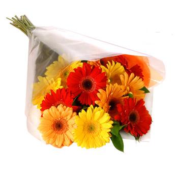 Karisik renklerde gerbera buketi  Çankırı çiçek , çiçekçi , çiçekçilik 