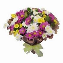  Çankırı çiçek servisi , çiçekçi adresleri  Mevsim kir çiçegi demeti 