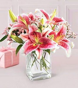 2 dal kazablanka görsel vazosu  Çankırı çiçek yolla , çiçek gönder , çiçekçi  