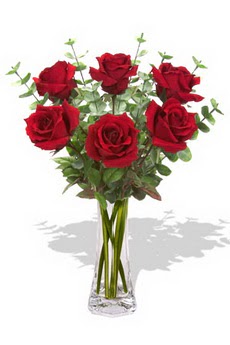  Çankırı online çiçekçi , çiçek siparişi  6 kırmızı gül vazosu