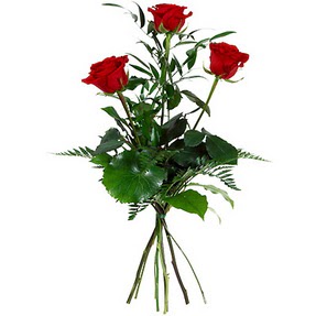  Çankırı ucuz çiçek gönder  3 adet kırmızı gülden buket