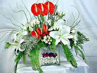  Çankırı internetten çiçek siparişi  Anthurim Kazablanka  gül