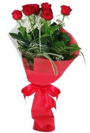 Çiçek yolla sitesinden 7 adet kırmızı gül  Çankırı İnternetten çiçek siparişi 