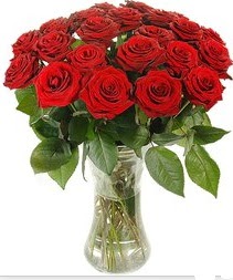  Çankırı internetten çiçek siparişi  Vazoda 15 adet kırmızı gül tanzimi