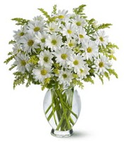 Vazo içerisinde beyaz krizantem çiçekleri  Çankırı online çiçekçi , çiçek siparişi 