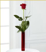 Vazo içerisinde 1 adet kırmızı gül  Çankırı çiçek yolla 