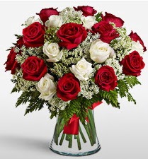 Vazoda 12 kırmızı 12 beyaz gül tanzimi  Çankırı ucuz çiçek gönder 