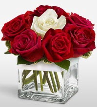 Tek aşkımsın çiçeği 8 kırmızı 1 beyaz gül  Çankırı ucuz çiçek gönder 