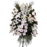  Çankırı çiçek satışı  Ferforje beyaz renkli kazablanka