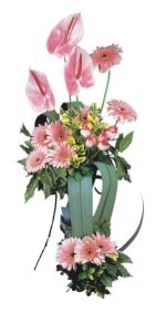  Çankırı online çiçek gönderme sipariş  Pembe Antoryum Harikalar Rüyasi