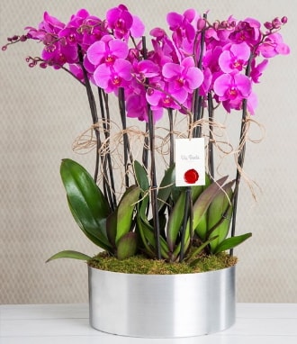 11 dallı mor orkide metal vazoda  Çankırı anneler günü çiçek yolla 