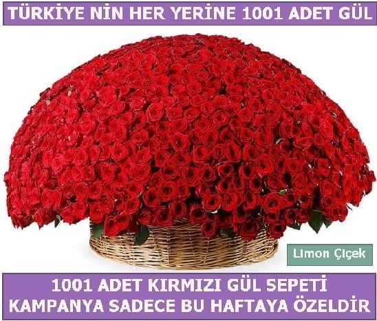 1001 Adet kırmızı gül Bu haftaya özel  Çankırı 14 şubat sevgililer günü çiçek 