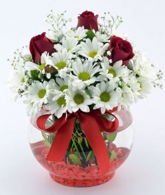 Fanusta 3 Gül ve Papatya  Çankırı İnternetten çiçek siparişi 