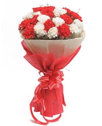 21 adet kırmızı beyaz karanfil buketi  Çankırı çiçek mağazası , çiçekçi adresleri 