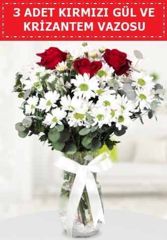 3 kırmızı gül ve camda krizantem çiçekleri  Çankırı çiçek online çiçek siparişi 